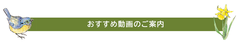 おすすめ動画一覧