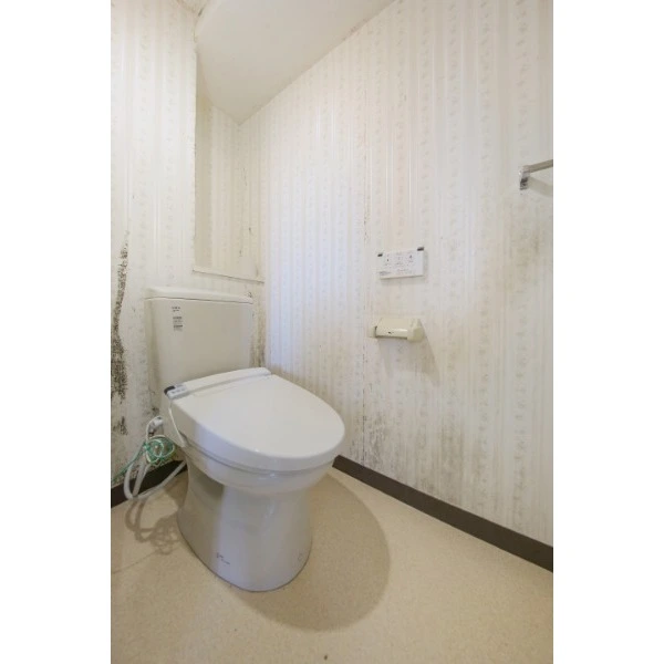 東急ドエル・アルス横浜十日市場 トイレ