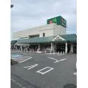 鎌ケ谷市東初富４丁目 マルエツ鎌ヶ谷大仏店　徒歩2分（スーパー）まで約100m（徒歩2分）