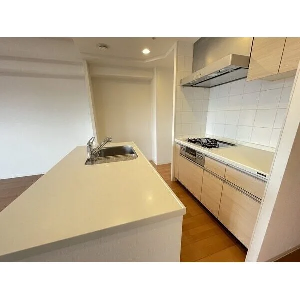 リーディア玉造駅前 その他画像