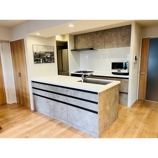 ライオンズプラザ新板橋 その他画像