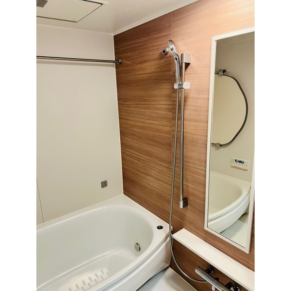 ライオンズプラザ新板橋 その他画像