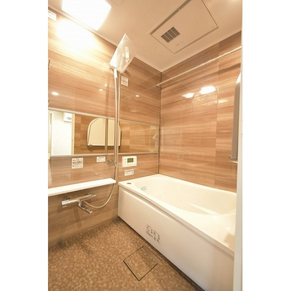 ソフトタウン根岸参番館 その他画像