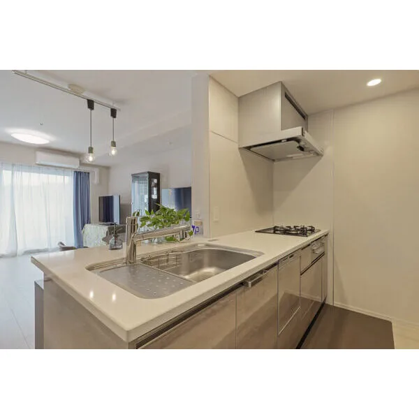 ザ・パークハウス名古屋伏見 その他画像