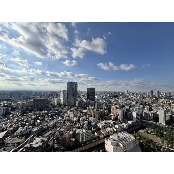 ザ・パークハウス西新宿タワー60 西側バルコニーからの眺望。天気が良い日には富士山が望めます。