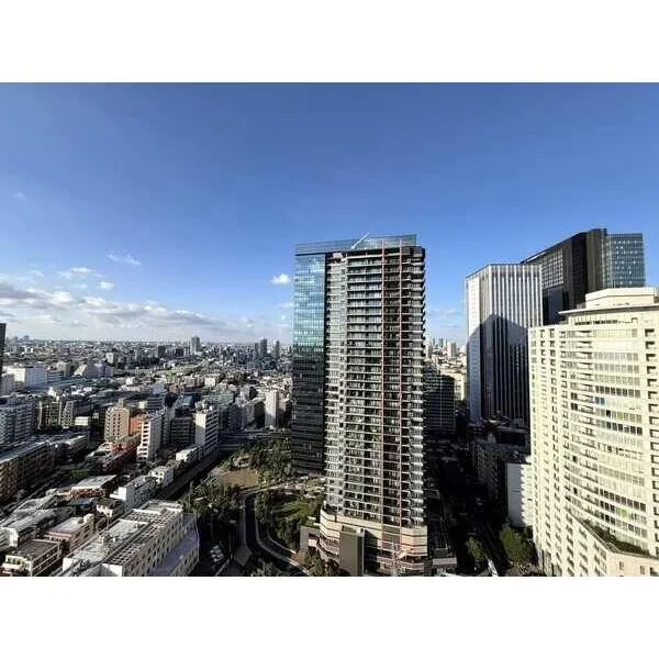 ザ・パークハウス西新宿タワー60 北側バルコニーからの眺望。