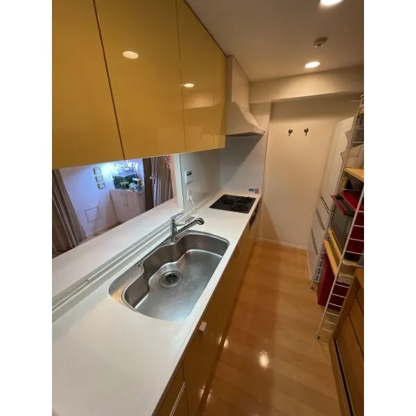 ザ・タワー＆パークス田園都市溝の口 家具、調度品等は価格に含まれません。