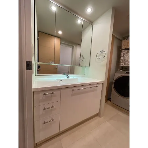 ザ・タワー＆パークス田園都市溝の口 洗面室