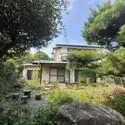 杉並区善福寺２丁目 敷地内のお庭部分になります