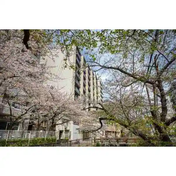 ザ・パークハウス京都河原町 外観