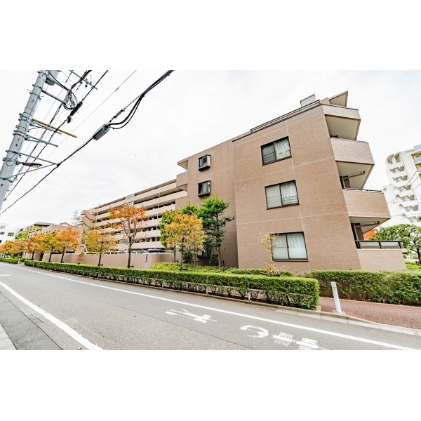 ダイアパレスグランデ西台 その他画像