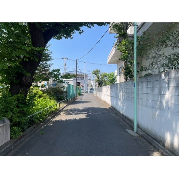 杉並区今川４丁目 前面道路