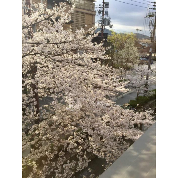 イーグルコート御池高瀬川 その他画像