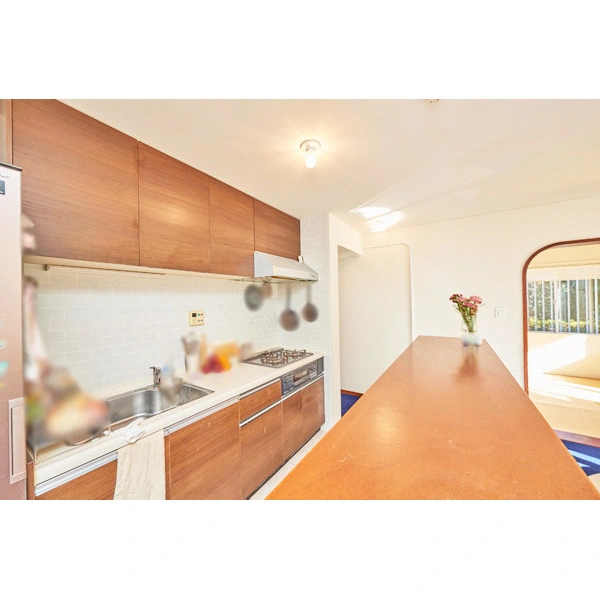 百合ヶ丘サニーフラット その他画像