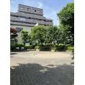 パシフィック小豆沢・A棟 敷地内公園