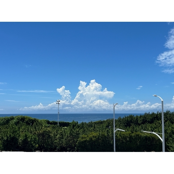 シーサイド鵠沼 海側の眺望