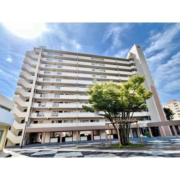 新蓮根団地 その他画像