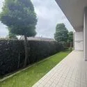 セレナハイム大宮公園寿能町 専用庭（Ｒ８年６月撮影）