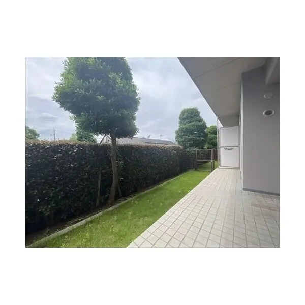 セレナハイム大宮公園寿能町 専用庭（Ｒ８年６月撮影）