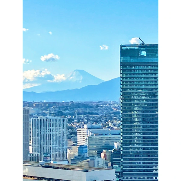 ザ・ヨコハマタワーズ その他画像