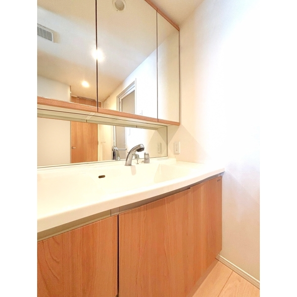 ルピアコート新小岩 その他画像