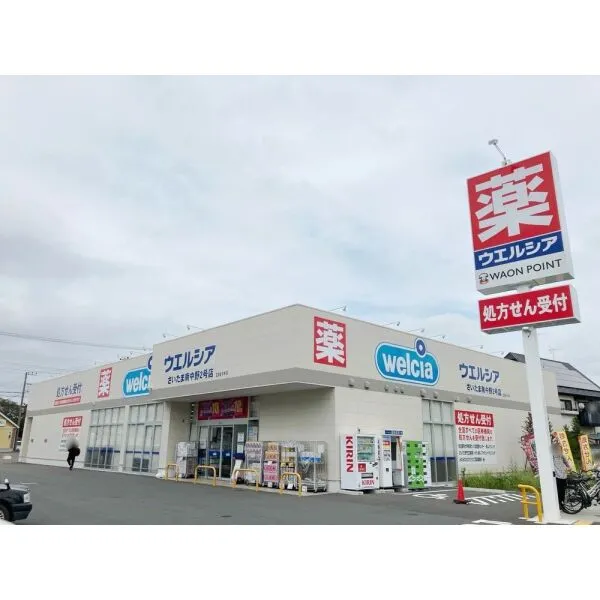 さいたま市見沼区大字南中野 ウエルシアさいたま南中野2号店(ドラッグストア)まで約1100m(徒歩14分)