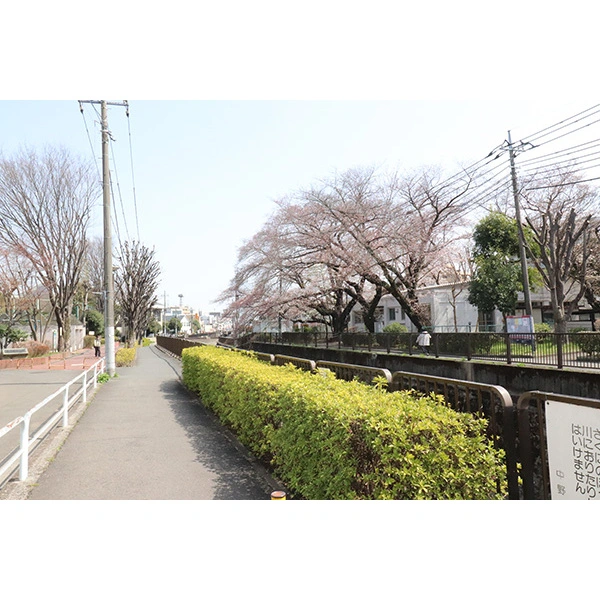 中野区白鷺2丁目 その他画像