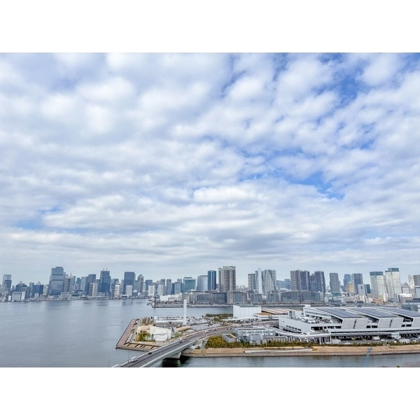 ブリリア有明シティタワー その他画像