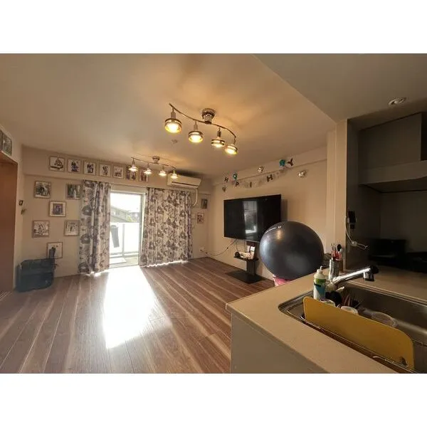 レーベン柏クリスタルアイルソラテラス その他画像