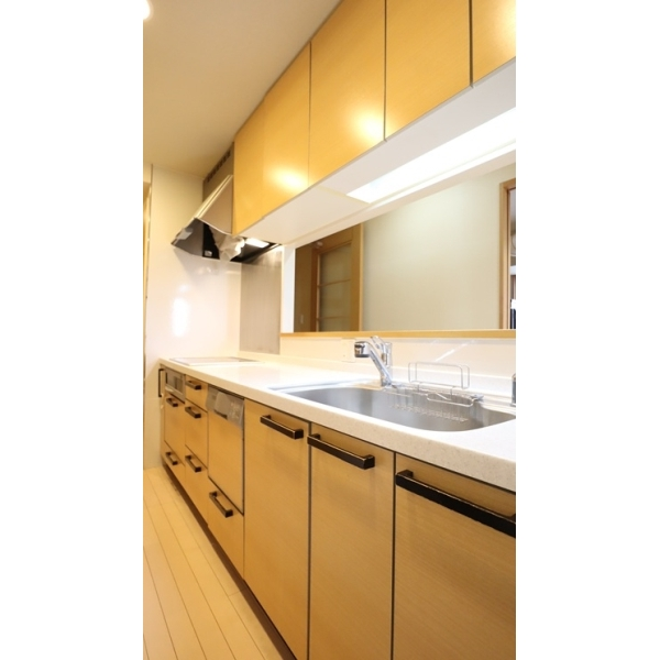 ライオンズマンション大阪スカイタワー その他画像