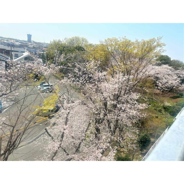 箕面東コーポラスＢ棟 その他画像