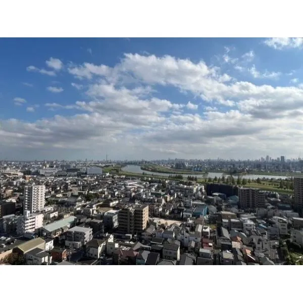 エルザタワー５５ 南側バルコニーから南側の眺望（眺望は永続的に保証されるものではありません）