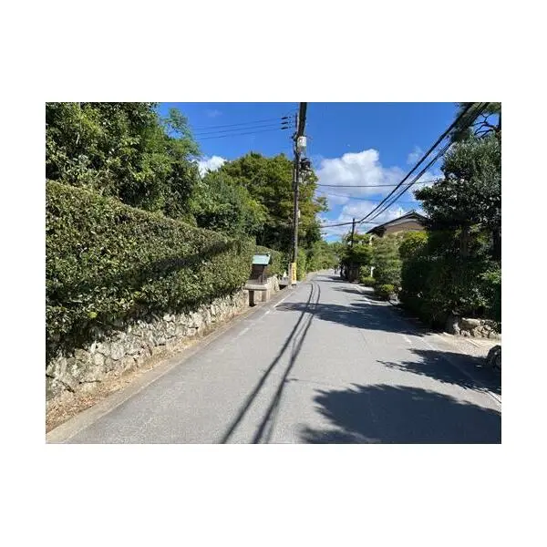 京都市右京区嵯峨観空寺明水町 その他画像