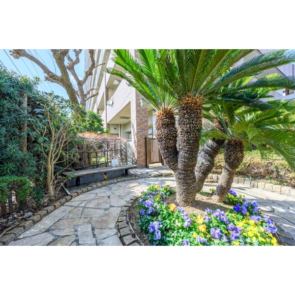 セルテシティオ湘南辻堂 その他画像