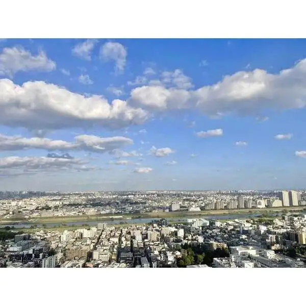 パークシティ武蔵小杉ステーションフォレストタワー その他画像