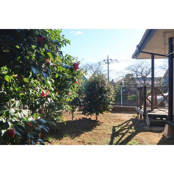松戸市下矢切 その他画像