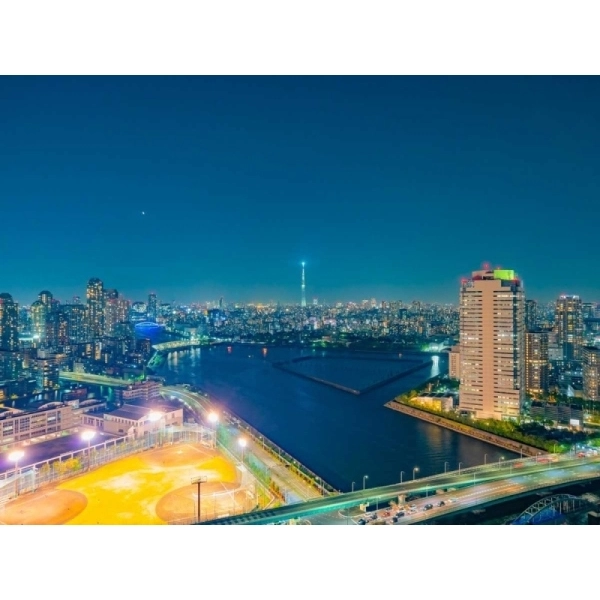 パークタワー晴海 その他画像