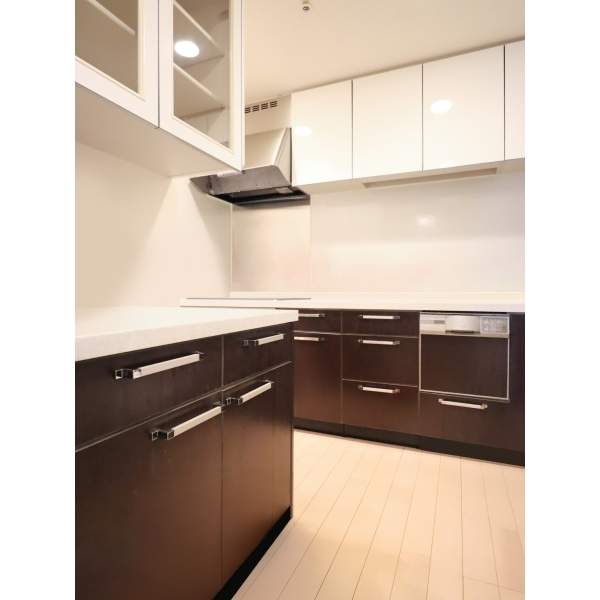 ライオンズマンション大阪スカイタワー その他画像