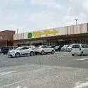 柏市旭町８丁目 マミーマート柏旭町店（スーパー）まで約300m（徒歩4分）