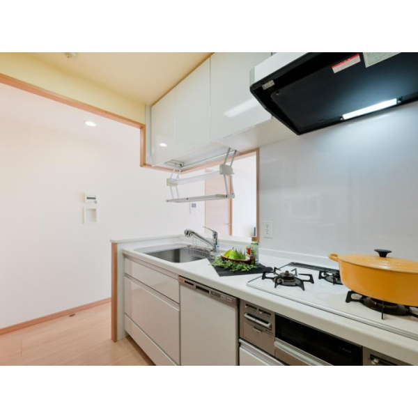 日神パレステージ下赤塚 その他画像