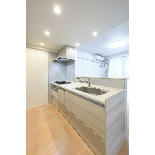 グランシティ武蔵小杉2 その他画像