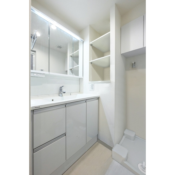 グランシティ武蔵小杉2 その他画像