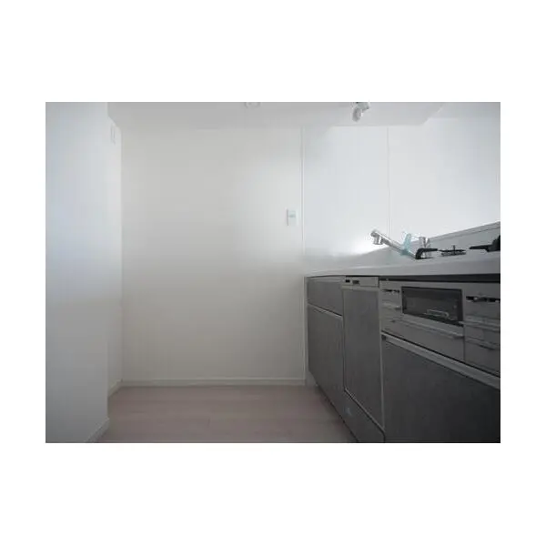 ライオンズステーションプラザ相模大野 その他画像