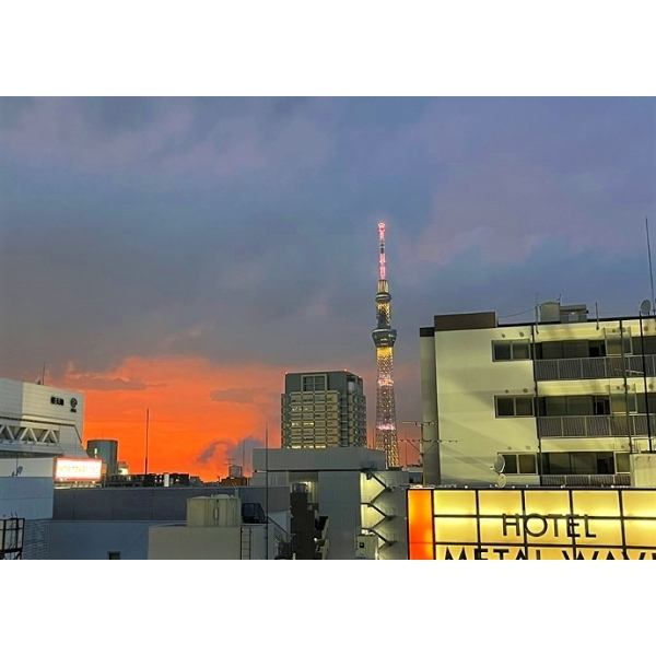 サンウッド錦糸町フラッツ その他画像