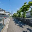 武蔵野市吉祥寺南町３丁目 前面道路