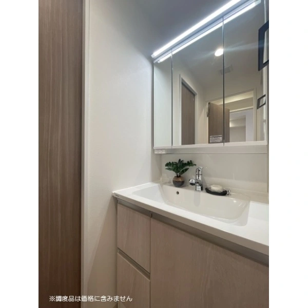 光建ハイムブリリアンス世田谷等々力 洗面室