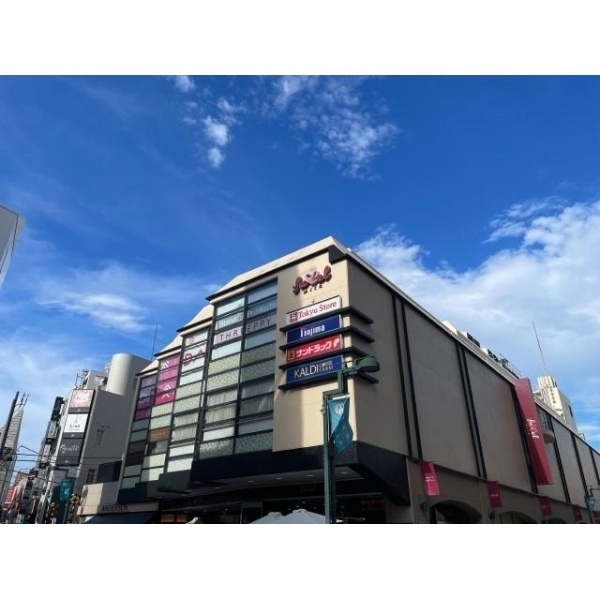 光建ハイムブリリアンス世田谷等々力 フレル・ウィズ自由が丘(東急ストア有)(ショッピングセンター)まで約2100m(徒歩27分)