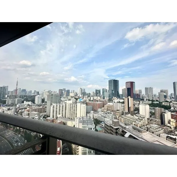 白金ザ・スカイ　東棟 バルコニーからの眺望です。リビングからは東京タワー方面を望むパノラマビューを楽しめます。