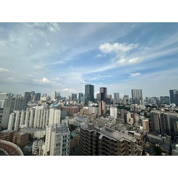 白金ザ・スカイ　東棟 遮る建物がない開放的な景色が、日々の暮らしにゆとりをもたらします。