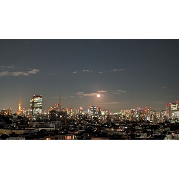 Ｔｈｅ目黒桜レジデンス その他画像